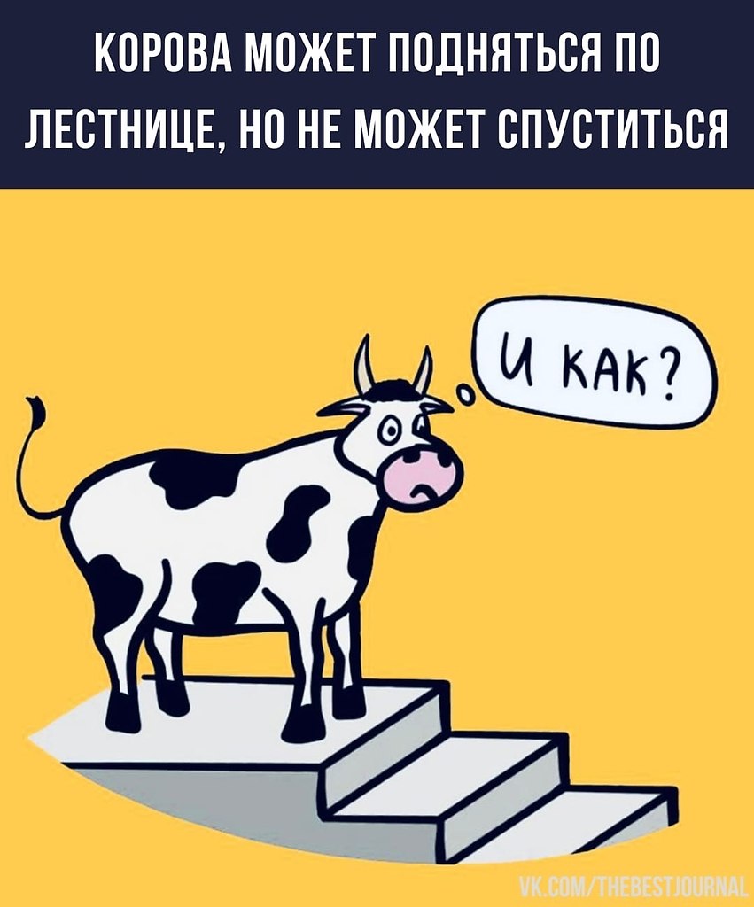 BEST | , ,  - 11  2022  00:23