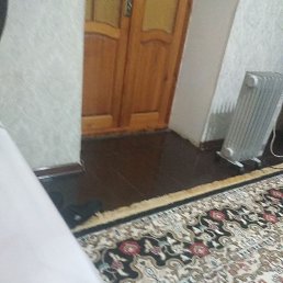 ���� ����, �������, 58 ��� - ��������� 27 ������ 2022