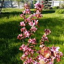 ���� ���, �������� - ��������� 4 ���� 2022 � ������ ���� ����������