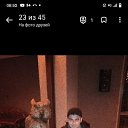 ���� ����, ���������, 41 ��� - ��������� 8 ������� 2022 � ������ ���� ����������