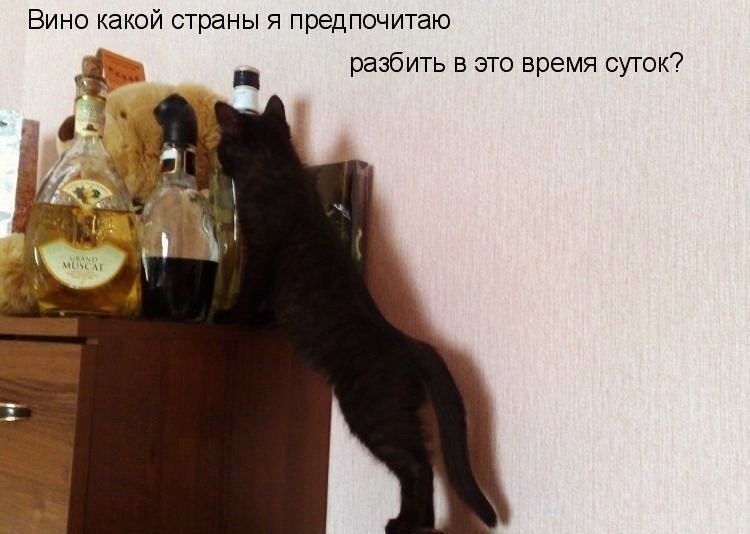 ��� �������� �������� - 27 �������� 2022 � 07:30