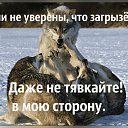 ���� ���, ���������, 48 ��� - ��������� 5 ������� 2023 � ������ ���� ����������