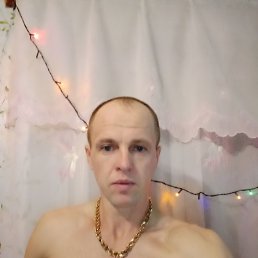  , , 38  -  8  2023