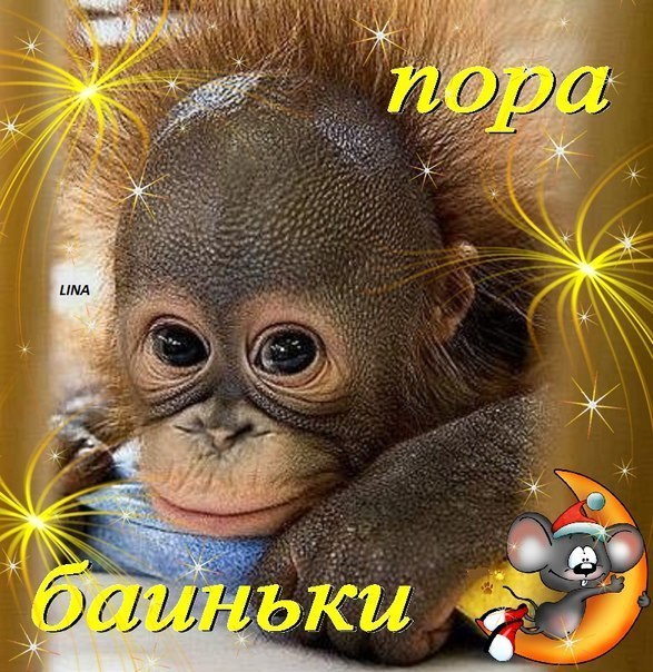  - 8  2023  22:40