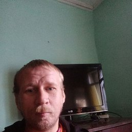 ���� ���������, ���, 40 ��� - ��������� 28 ������� 2022