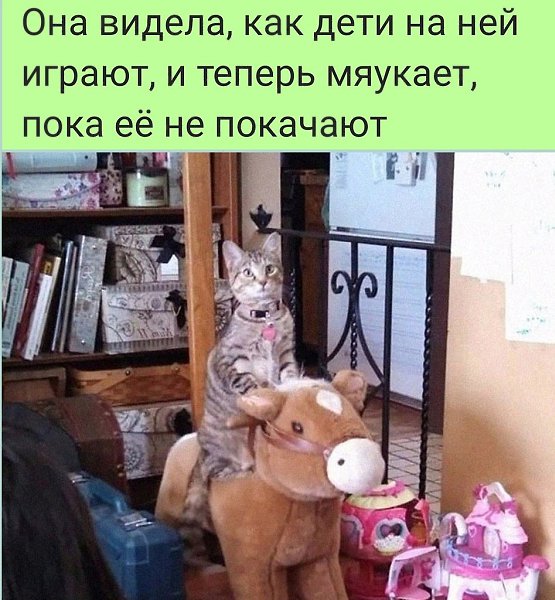   :D - 12  2022  09:03