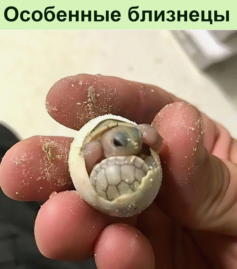       :)