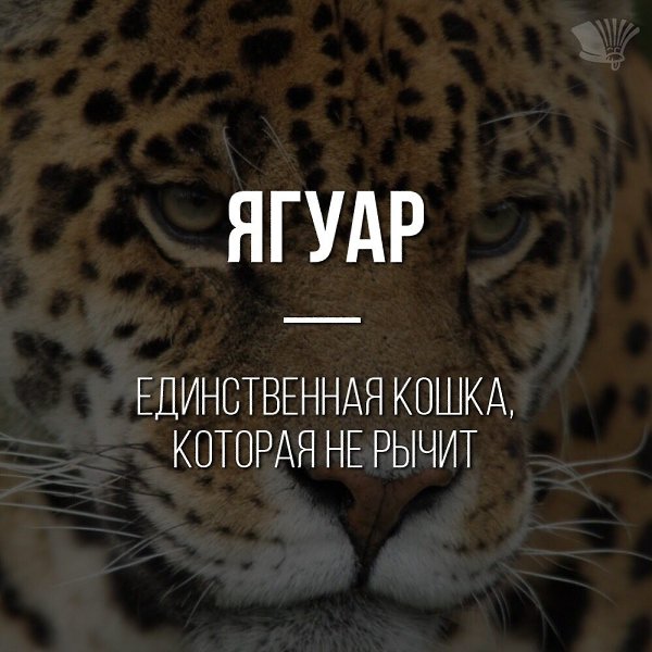 ***Victoria Viktorovna*** - 28  2022  16:25