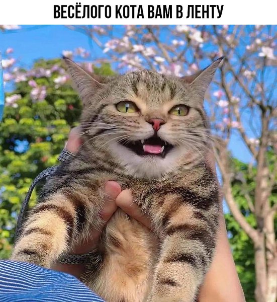 ����� ���������� �� �����! - 30 ������ 2022 � 07:42