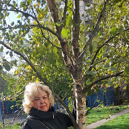 �������, �����������, 68 ���