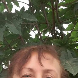 ���� ����, ������, 56 ��� - ��������� 3 ������� 2023