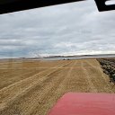 ���� ������, ������, 38 ��� - ��������� 31 ������� 2022 � ������ ���� ����������