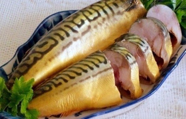 Скумбрия