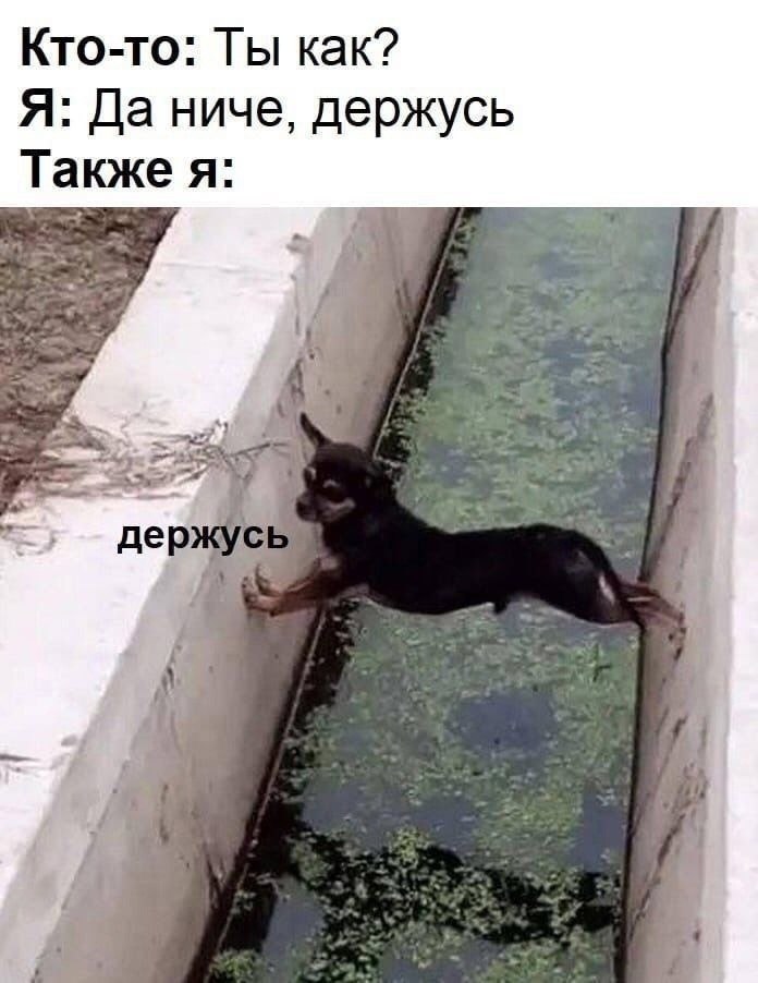   )