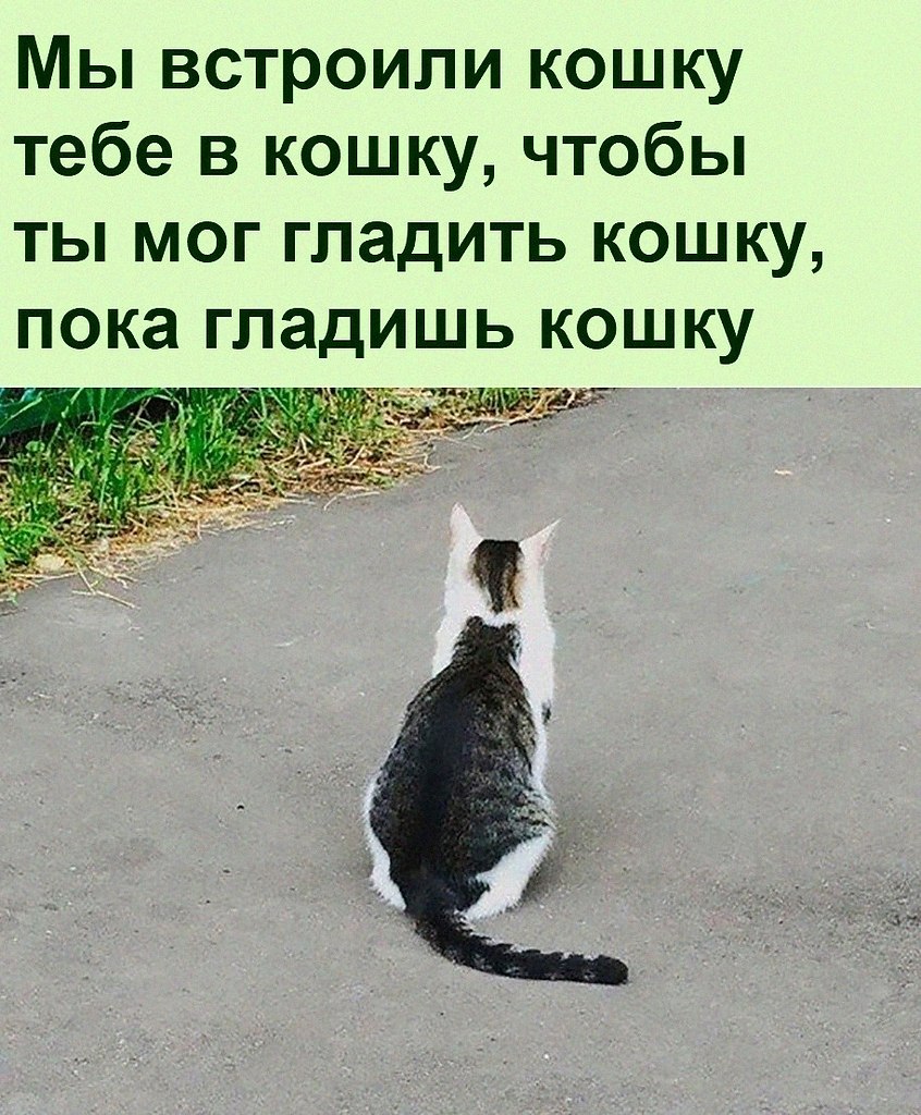 ������ ��������� :D - 6 ������� 2022 � 22:37