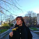 осень в Выборге