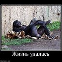 ���� ��������, ��������, 54 ���� - ��������� 9 ����� 2022 � ������ ���� ����������