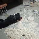 ���� ������, ���������, 46 ��� - ��������� 1 ������� 2023