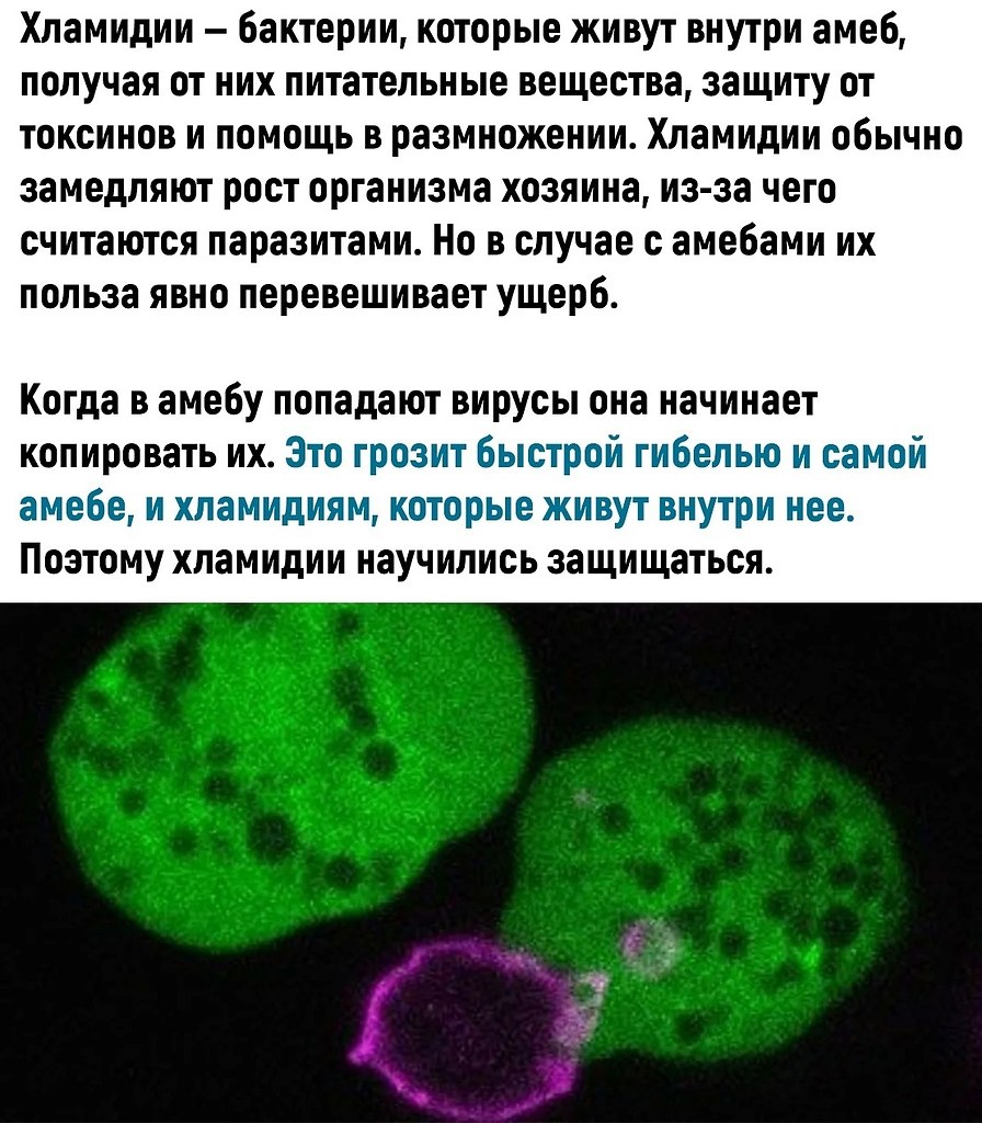 ,     - 2