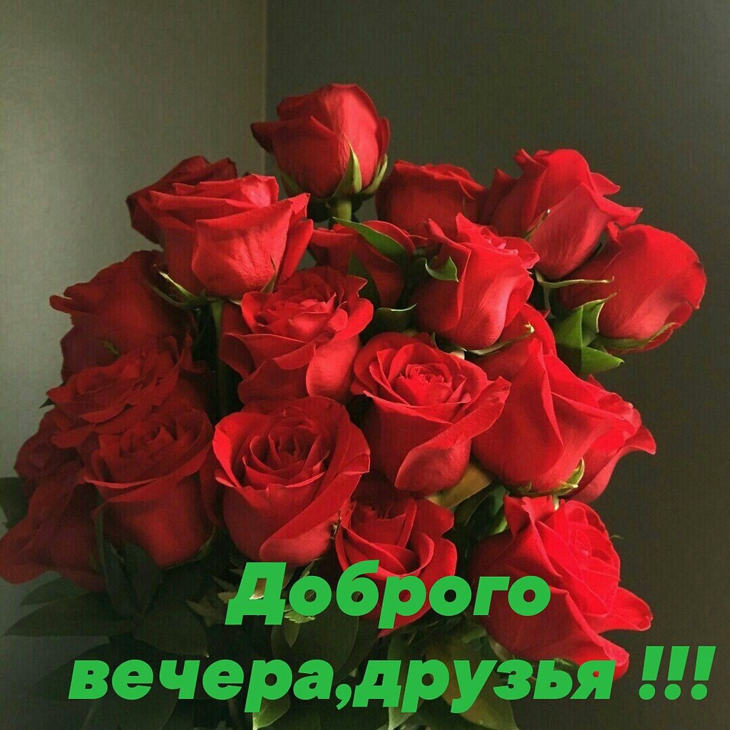   ,    . - 13  2022  18:36 - 9