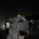 ���� Gleb, ��������� - ��������� 16 ������� 2022 � ������ ������ ��������