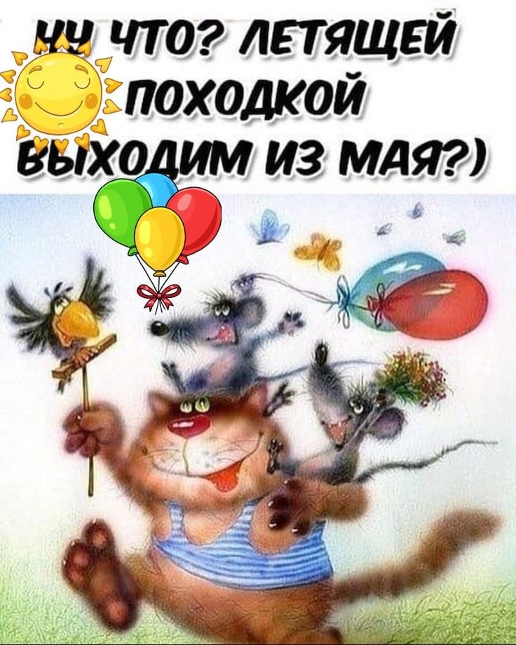   - 31  2022  07:03