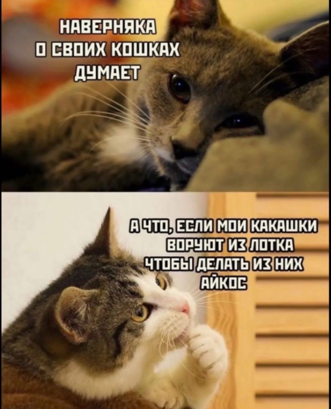  - 13  2022  18:49