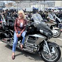 ���� �����, �����������, 49 ��� - ��������� 20 ��� 2022 � ������ ���� ����������