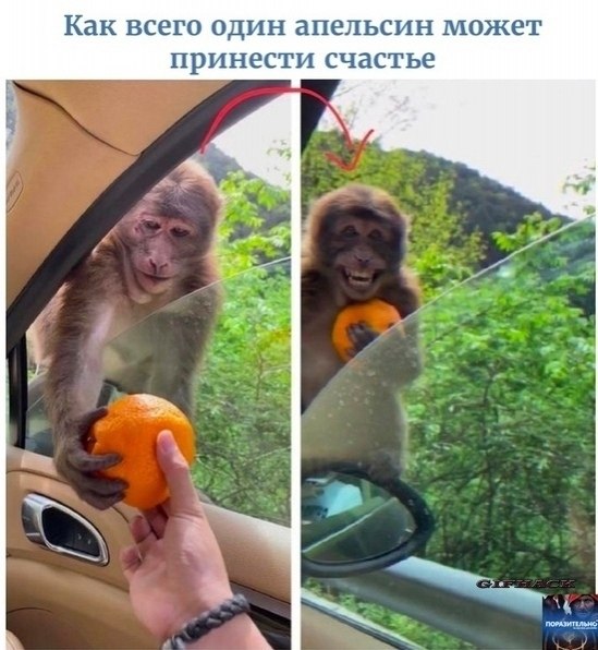   .  ,  ,    