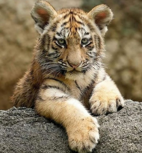 �������� - 15 ������� 2022 � 17:42