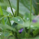  Nikolay,  -  28  2022    