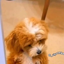 ������, ������, 51 ���