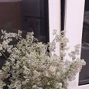 ���� �����, ����-���������, 44 ���� - ��������� 16 ������ 2023