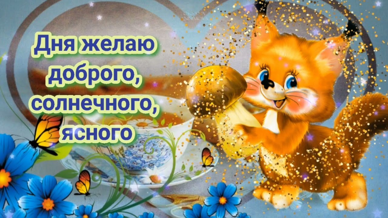   ,    . - 18  2022  22:58