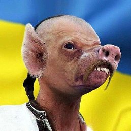 ���� �������, �����-���������, 57 ��� - ��������� 4 ������ 2022