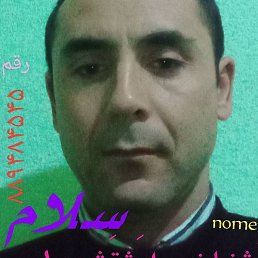 �����, �����-���������, 36 ���