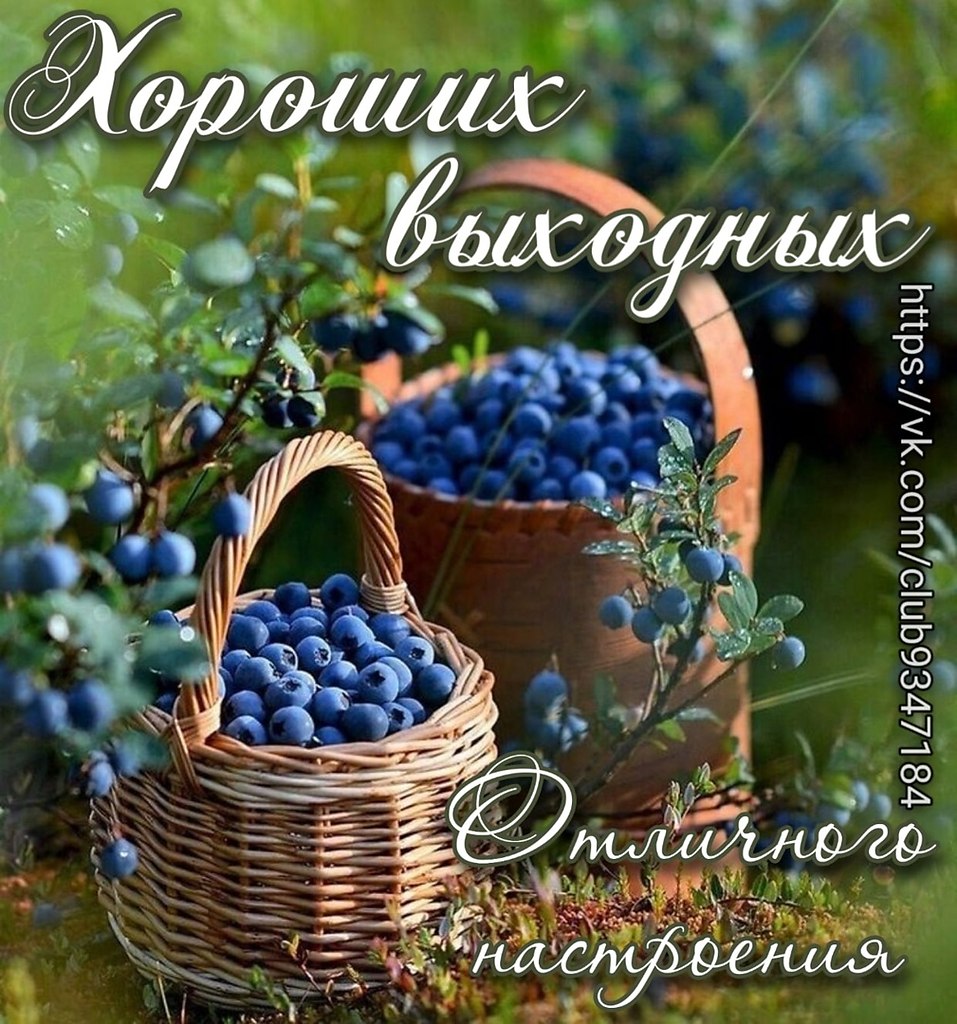   ,    . - 29  2022  21:59