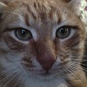 ���� ������, ������, 47 ��� - ��������� 6 ��� 2022 � ������ ���� ����������