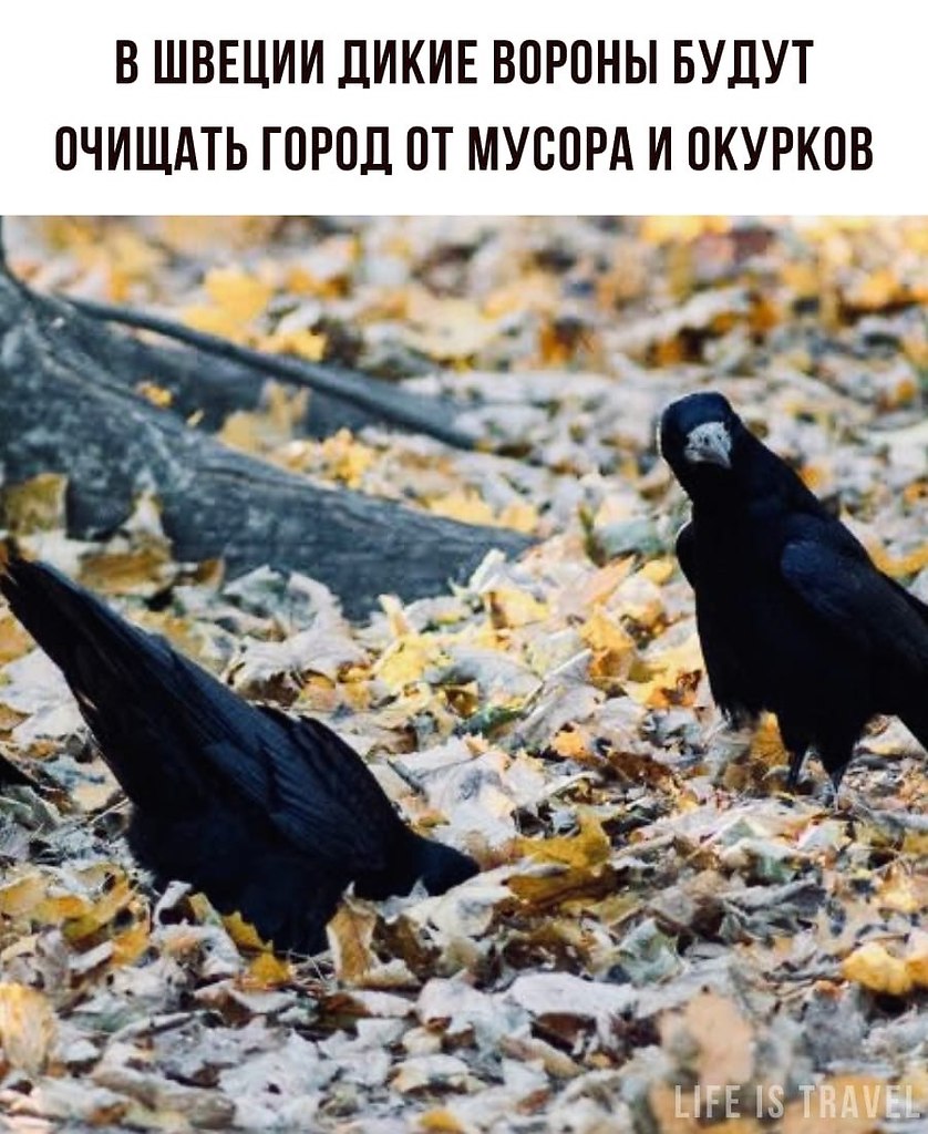 LIFE -  - 7  2022  16:37
