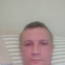 , 43 , 