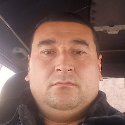 ��������, ������, 41 ���