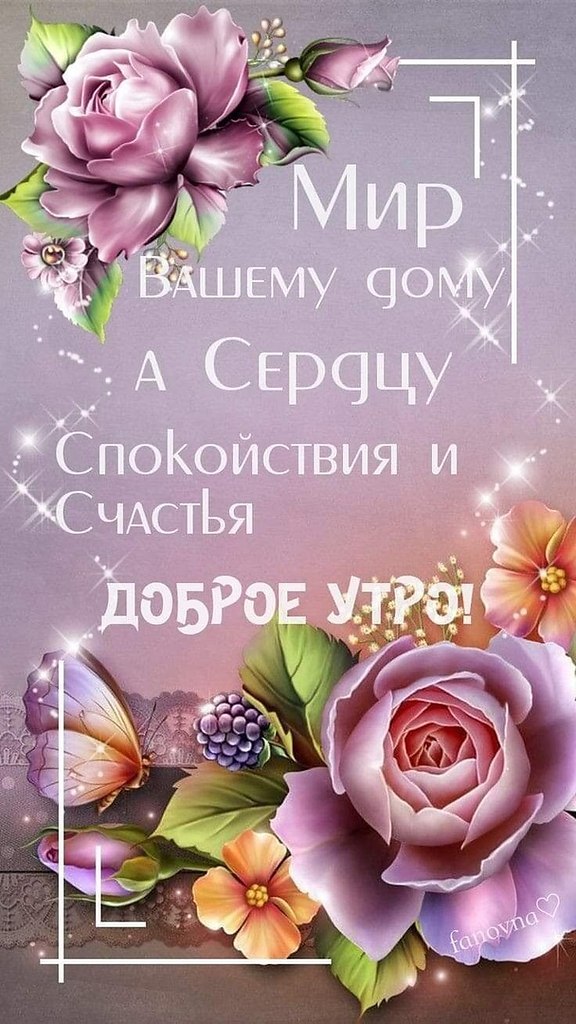 ����������� � ���������, �������� �� ������ ����. - 15 ���� 2022 � 16:10