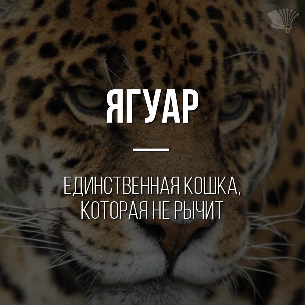 ***Victoria Viktorovna*** - 28  2022  16:25