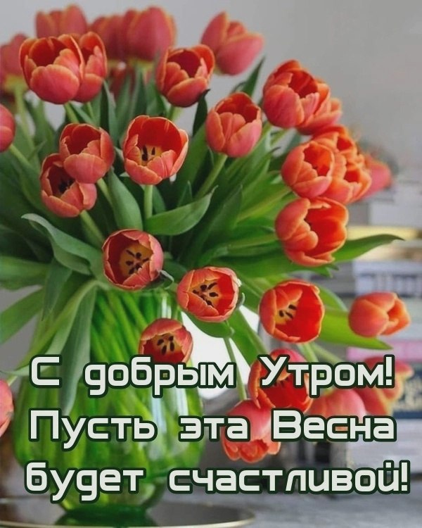   ,    . - 11  2022  23:42