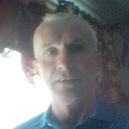 ������, ���������, 66 ���