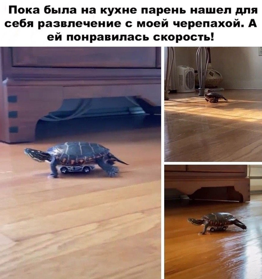   -  ,  -  - 11  2022  08:51