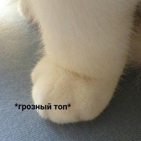    - 14  2022  16:27