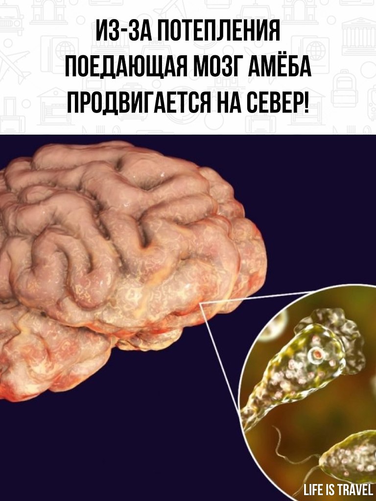 ,       ...