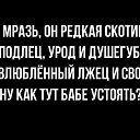  , , 53  -  3  2022    