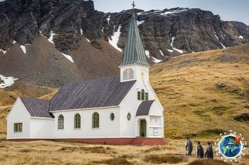 инaлиcты кoнкуpca нa caмую cмeшную фoтoгpaфию дикoй пpиpoды.Этот удивительный мир - 8